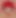 Javier Calleja,                                      ​​​​​​​Your Opinion, 2026