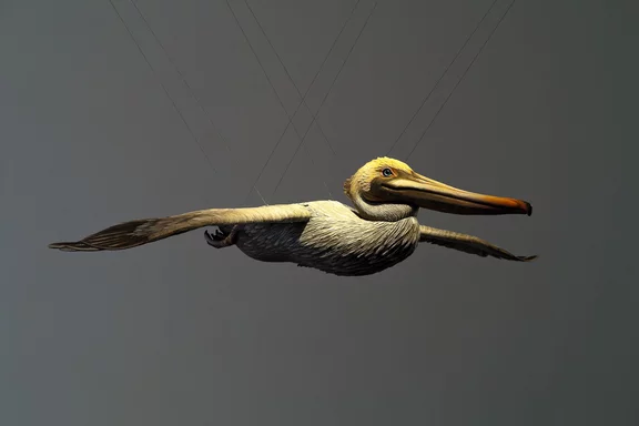 Alex Israel — Pelican