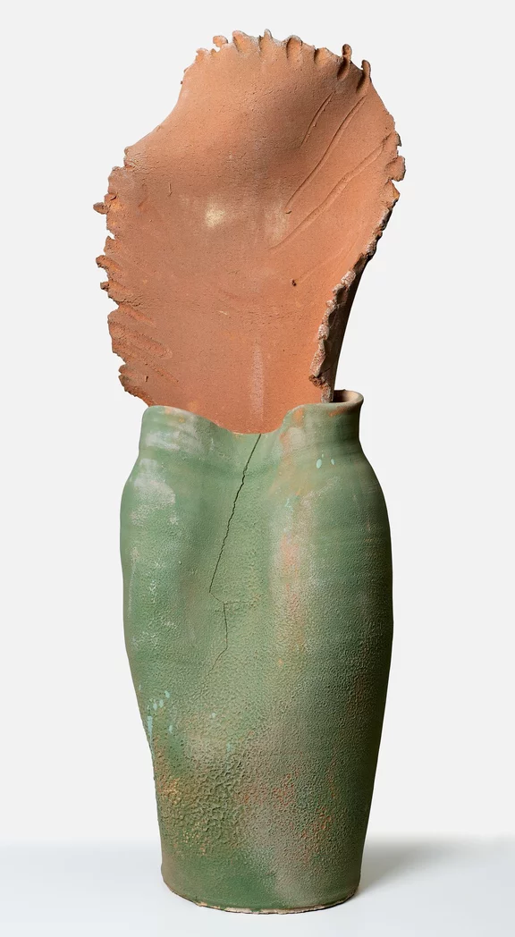 Miquel Barceló — Flor d’argila