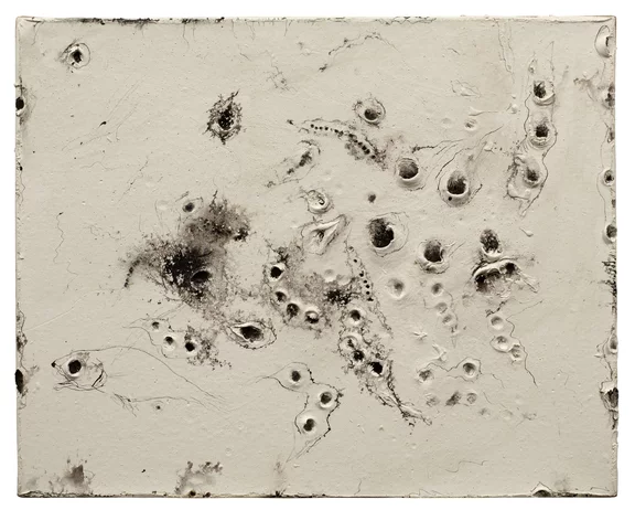 Miquel Barceló — Clovelles, peladures i closques