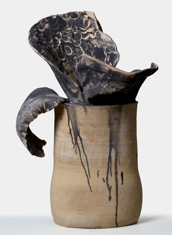 Miquel Barceló — Planta negra