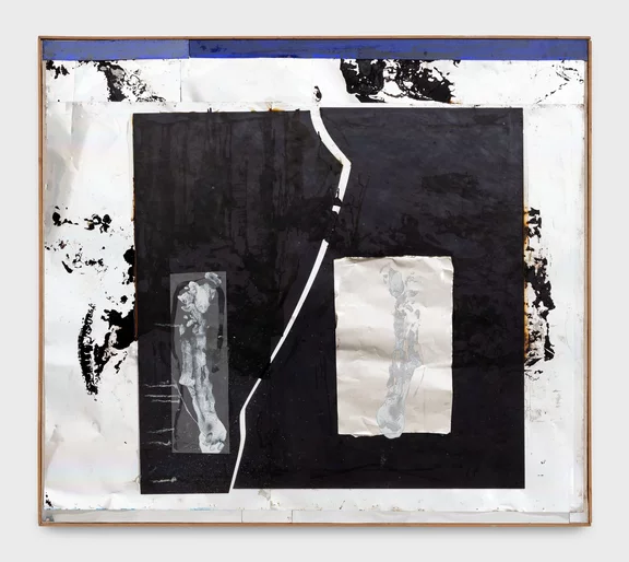 Rudolf Polanszky — Rohrschach Transformations