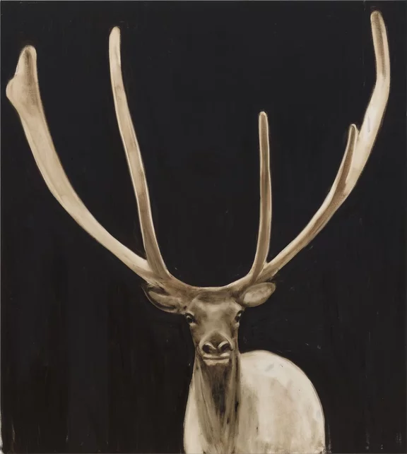 Joe Andoe — Stag 4/25/20