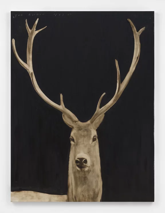 Joe Andoe — Stag 4/17/20