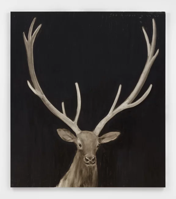 Joe Andoe — Stag 4/27/20