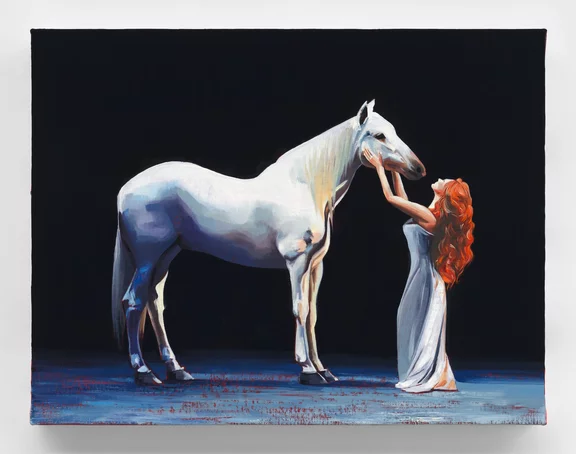 Sam McKinniss — Shania Twain's Horse 1