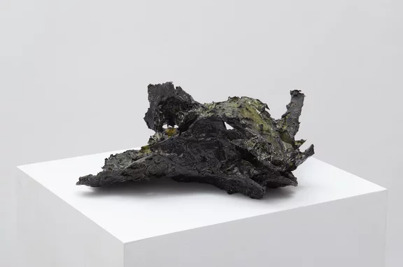 Erik Lindman — Diptera