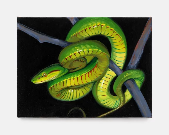Sam McKinniss — Salazar's Pit Viper