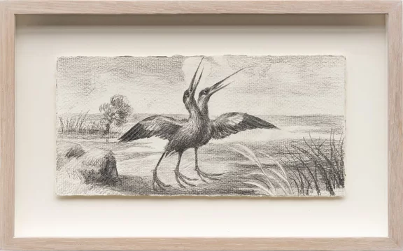 Ted Pim — Drawing for rainbow wings
