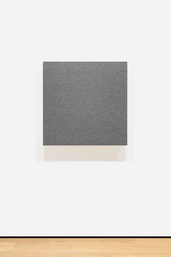 Ryoji Ikeda — the irrational (ø) [nº1-2b]