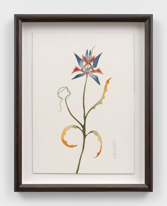 Alejandro Cardenas — Botanicus 5