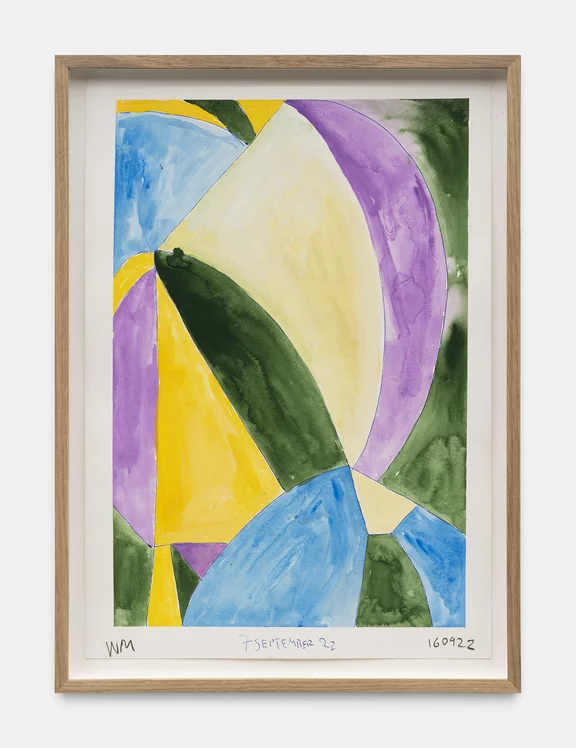 Werner Mannaers — nr 160922