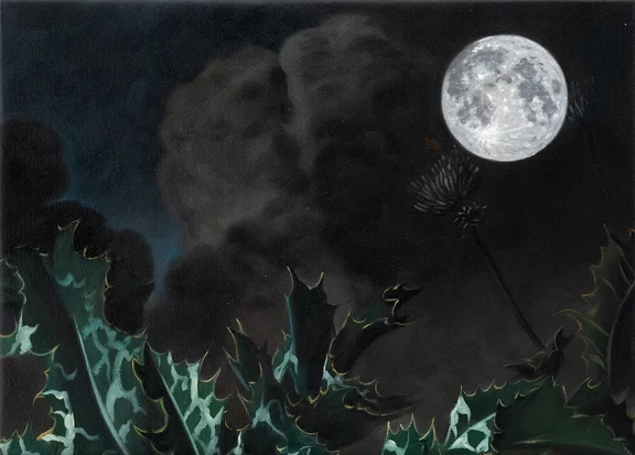 Ted Pim — Full cold moon