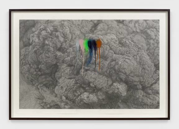 Thu-Van Tran — Rainbow Herbicides 2