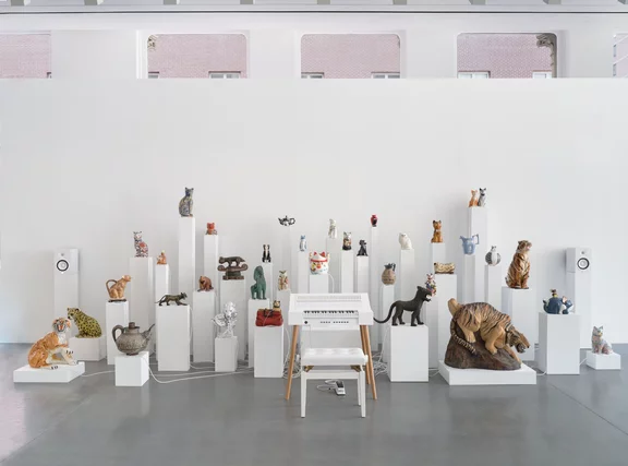 Oliver Beer — Cat Orchestra