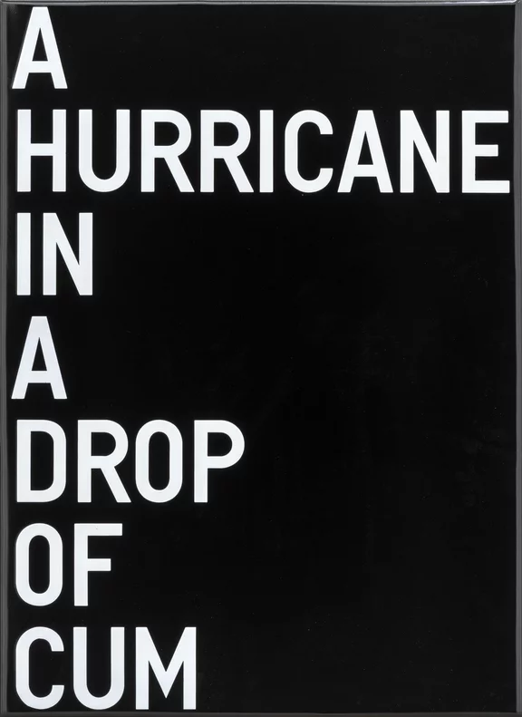 Rirkrit Tiravanija — untitled (a hurricane in a drop of cum)