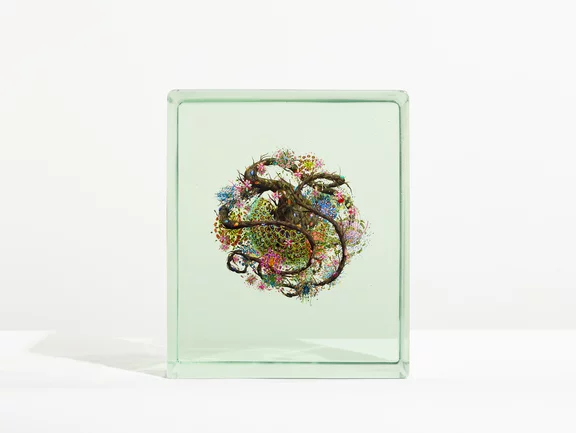 Dustin Yellin — Seed 7