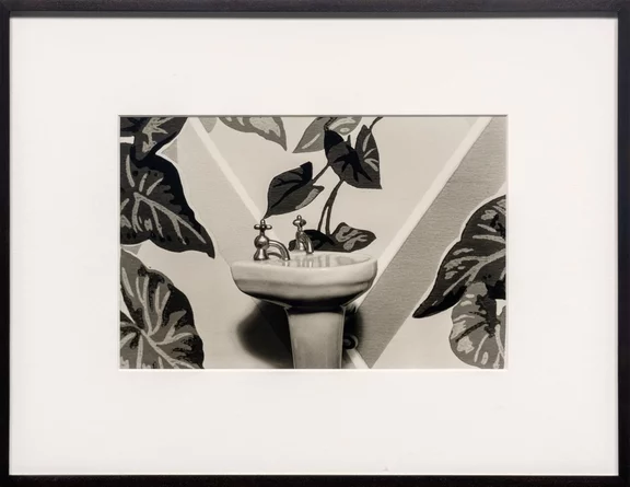 Laurie Simmons — Sink/Ivy/Wallpaper