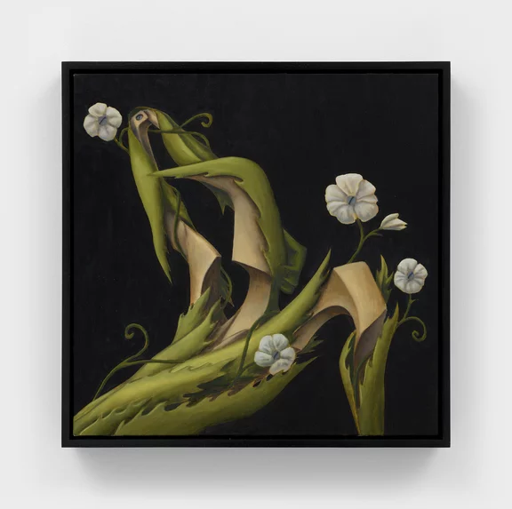 Alejandro Cardenas — Night Bloom