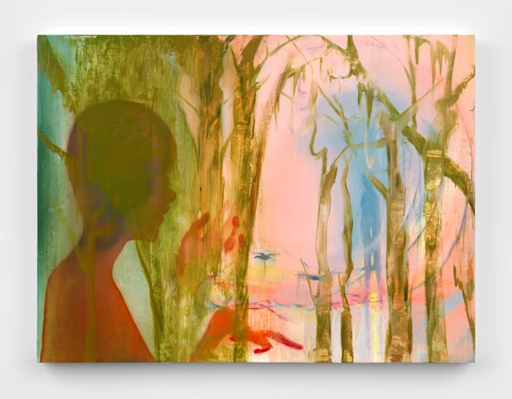 Haley Josephs — Ducks at Dawn