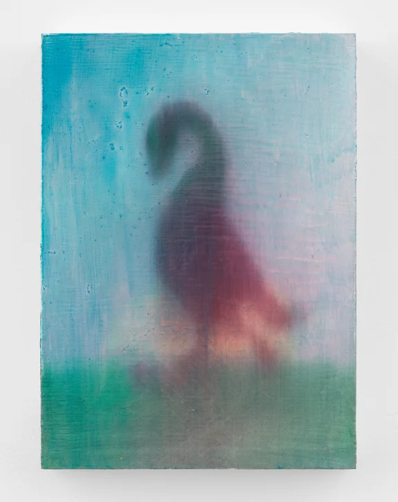 Haley Josephs — DUCK