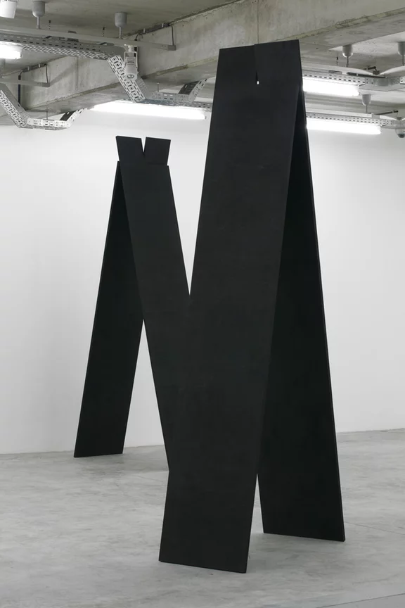 Michaela Meise — Das schwache Haus