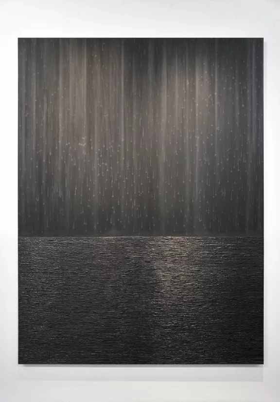 Teresita Fernández — Nocturnal (Star fall)