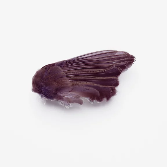 Zbigniew Rogalski — Untitled (Wing)