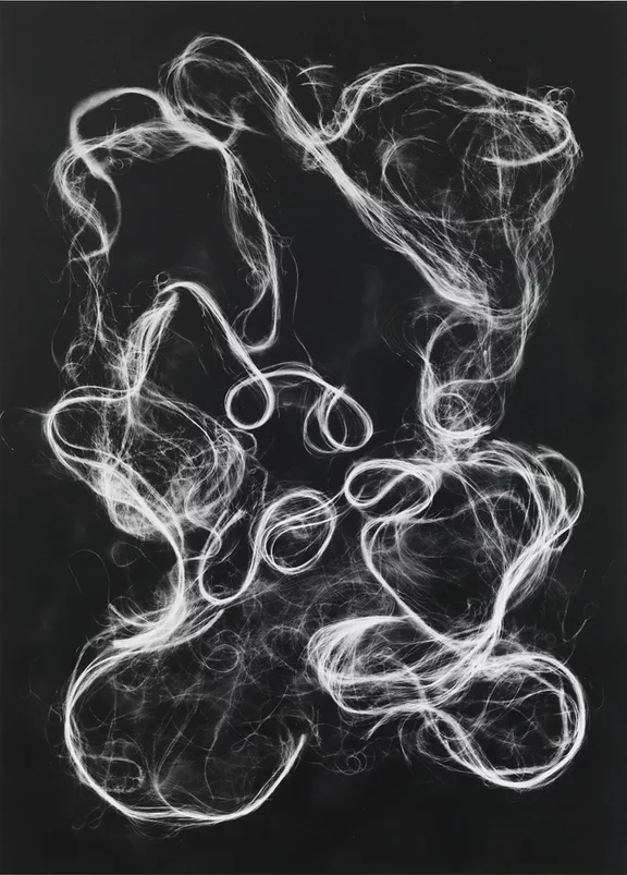 Matthias Bitzer — Ectoplasma