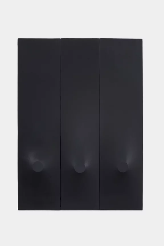 Turi Simeti — Trittico nero
