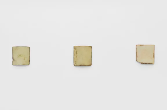 Su Xiaobai — Disintegrate 25, 40, 51