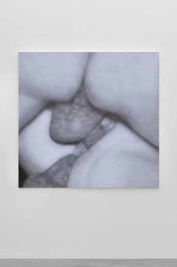 Betty Tompkins — Fuck painting #50
