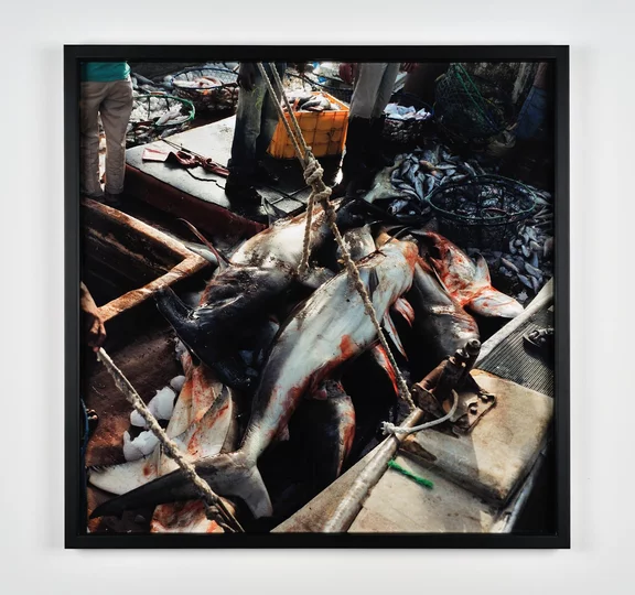 Ziad Antar — Sharjah