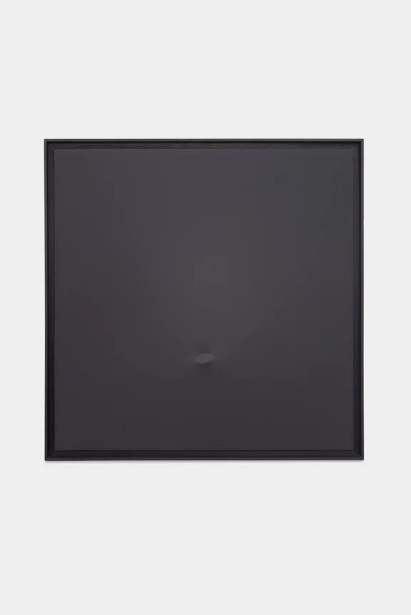 Turi Simeti — Un ovale nero