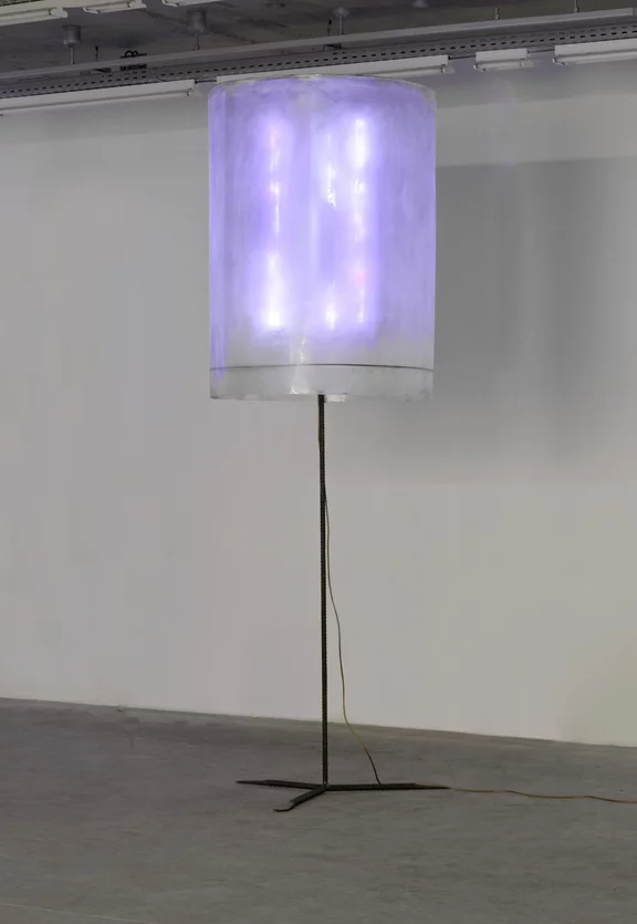 Franz West — Violet Lamp