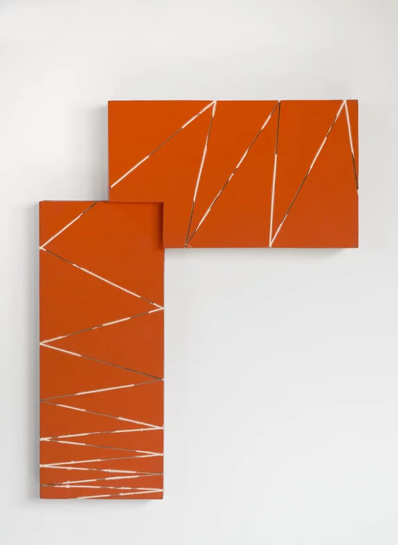 Kishio Suga — Branching out Between Boundaries of Light