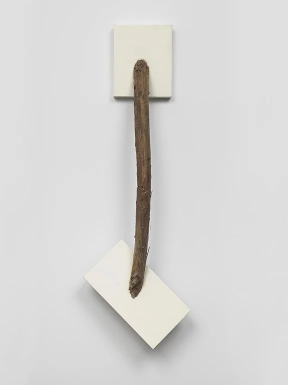 Kishio Suga — Segmented Boundaries in Detached Progression