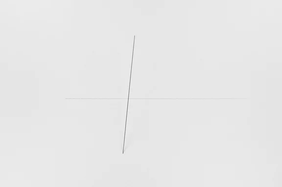 Fernanda Gomes — Untitled
