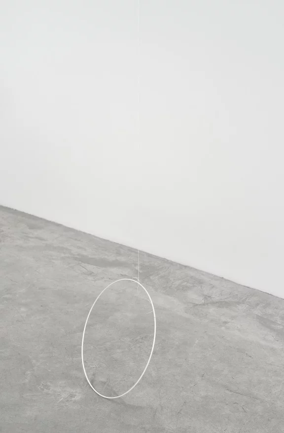 Fernanda Gomes — Untitled