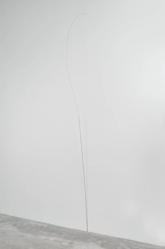 Fernanda Gomes — Untitled