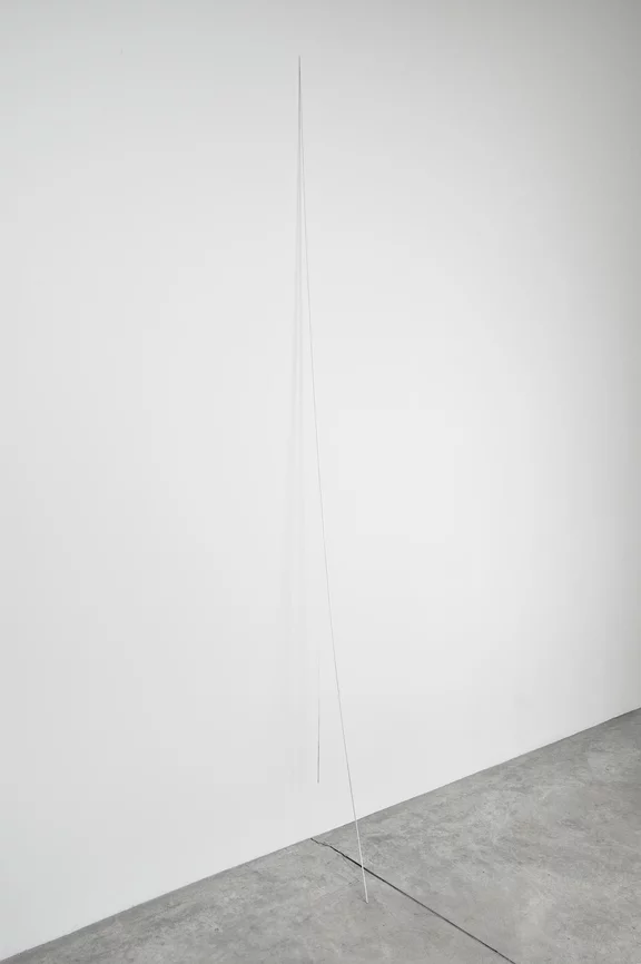Fernanda Gomes — Untitled
