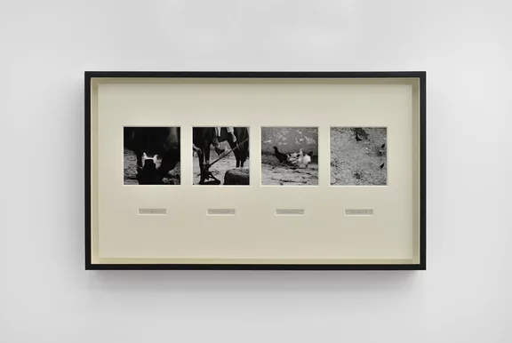Taryn Simon — Afghanistan