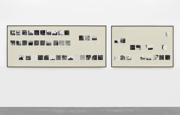 Taryn Simon — United States