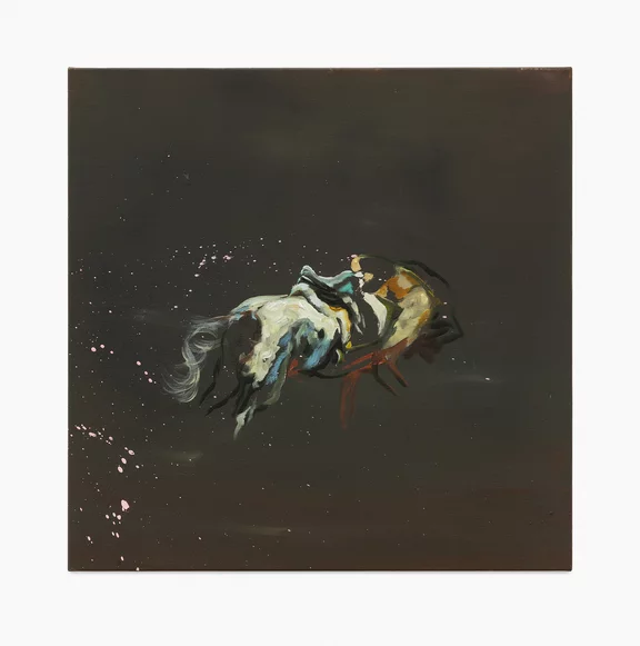 Matthieu Ronsse — Horse