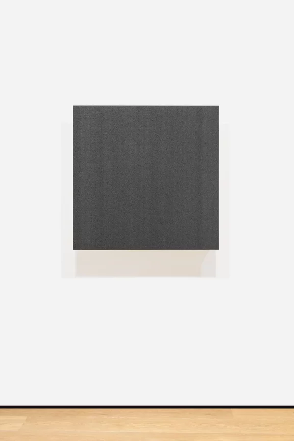 Ryoji Ikeda — the transcendental (e) [nº2-d]