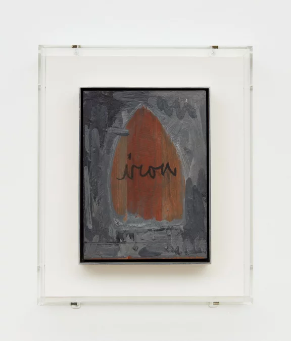 Jasper Johns — Iron